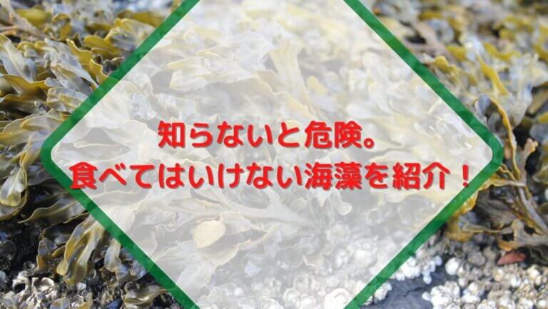 知らないと危険。食べてはいけない海藻を紹介！
